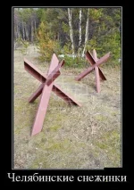 971c9f958aef67bc9d799c0380662235.webp