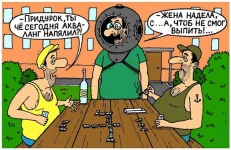 15181.webp