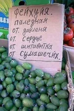 getImage (2).webp