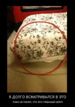 7iMihtmMMvw.webp