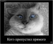 1295284172_kote_cmex29ru.webp