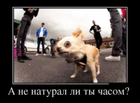 1344093974_1343982780_demotivatory_25.webp
