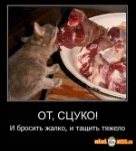 1299754680_001.webp
