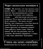 1261750558_12422.webp