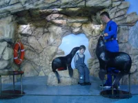 DSC02534.webp
