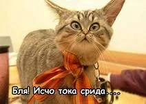 i.webp