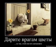 getImage.webp