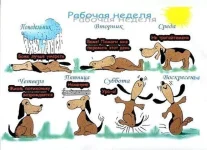 f3de2c1685a2.webp