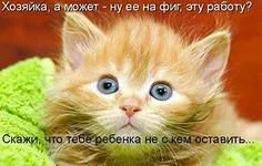 i (1).webp