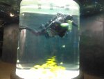 IMG_20130207_095603.jpg