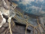 IMG_20130207_095549.jpg