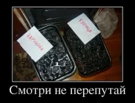 getImage (18).webp