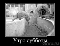 0v8jrp.webp