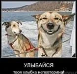 i (1).webp