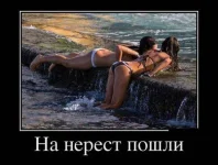 136055274611841.webp