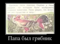 getImage.webp
