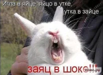 getImage (3).webp