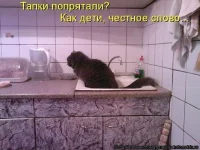 getImage (20).webp