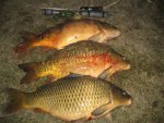 IMG_2754.jpg