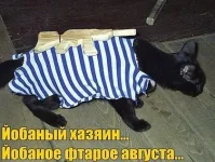getImage (19).webp