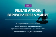 424917_409926125762526_1792658951_n.webp