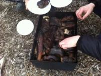 IMG_1389.webp IMG_1389.webp