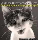 о.webp