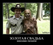 136114005469325.webp