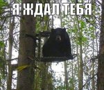 олрщщгршщз.jpg