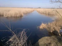 2013-02-25-594.webp