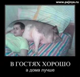 3456н7гн.webp
