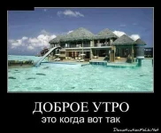 getImageCAL91D1P.webp