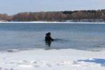 IMG_4461_1280x853.jpg