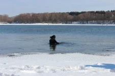IMG_4461_1280x853.webp