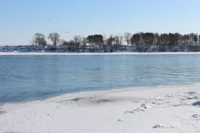 IMG_4474_1280x853.webp
