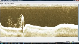 downscan.webp