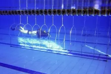 diving_26-02-13_06.webp
