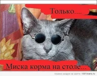 getImage 41.webp