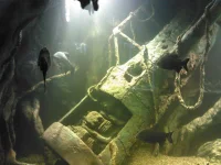 IMG_20130228_132030.webp