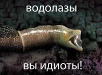 382223_214289792046009_312099838_n.webp
