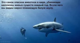 480131_402852139813059_524564372_n.webp