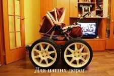 13.webp