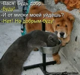 14.webp