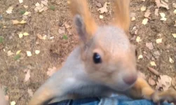 IMAG0830.webp