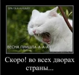 getImage (2).webp