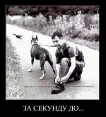 getImage (7).webp