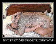 getImage (19).webp