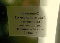1330510526_e56c37f99b.pic-bash.ru.webp