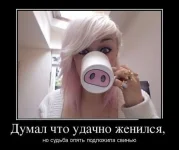 88884.webp
