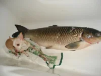 DSC00029.webp